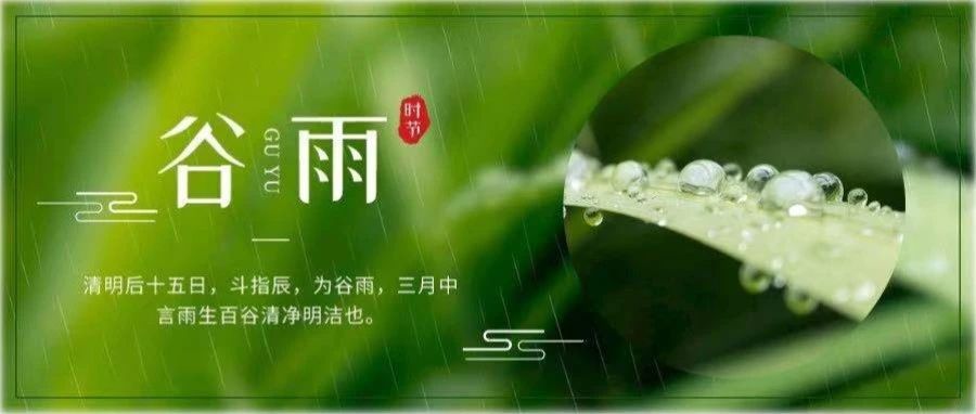 杭医谷雨 | 留一抹春色 迎一个繁夏