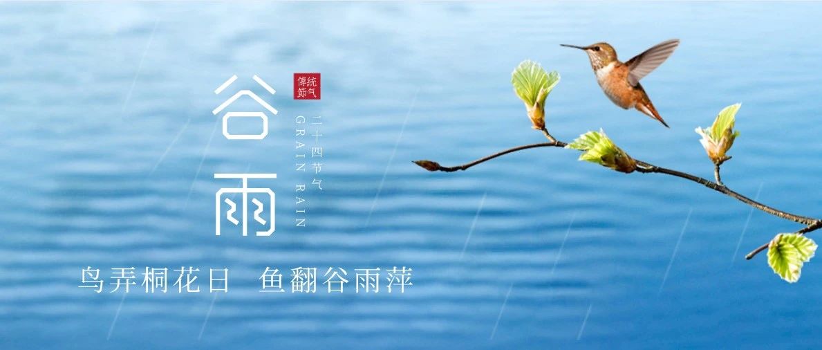 特师节气电台 | 今日谷雨