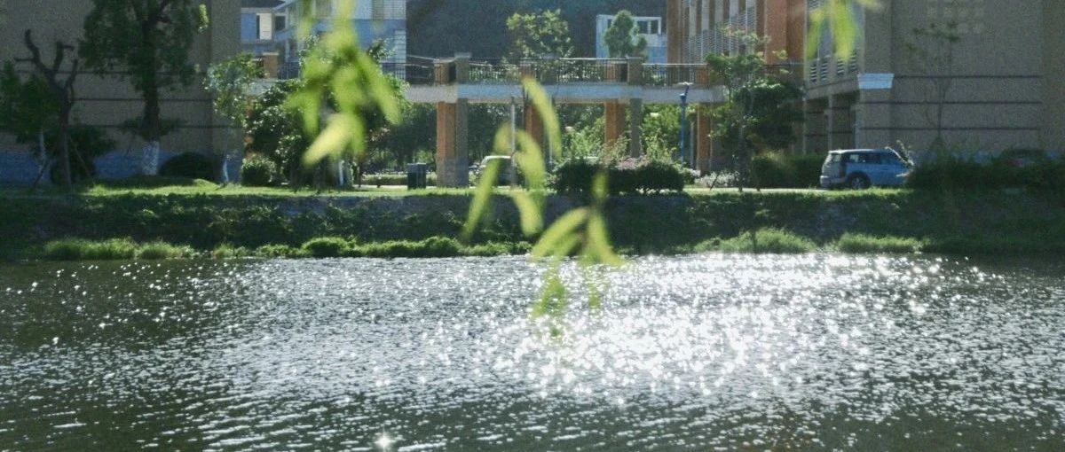 今日谷雨 | 夏将至，告别最后的春天！