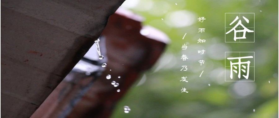 节气录丨春山谷雨前，并手摘芳烟