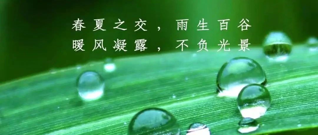 节气说 | 谷雨——人间暮春 雨生百谷