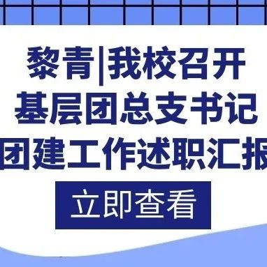 黎青 | 我校召开基层团总支书记抓团建工作述职汇报会