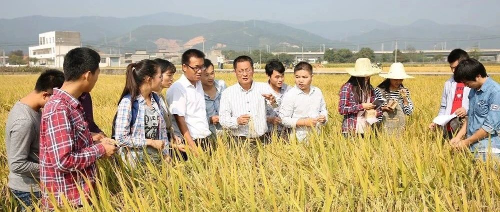 副校长贺浩华教授荣获“全国五一劳动奖章”！