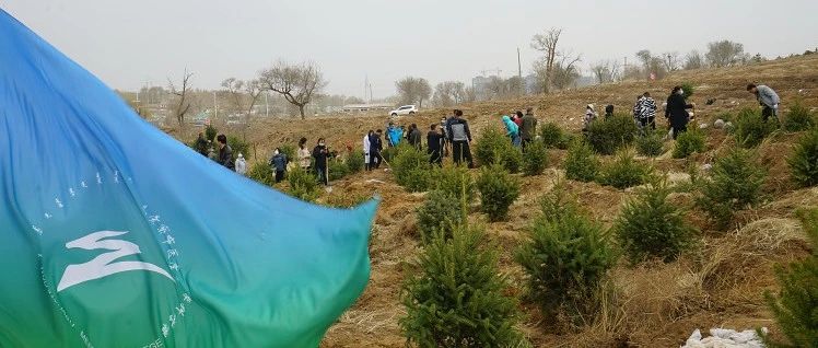 我校参加市直单位春季义务植树活动