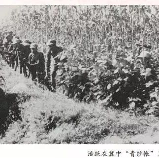 党史学习丨1941：剑犁并铸度劫波——中国共产党勇击内外浊流的战略抉择