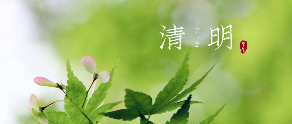 清明寄哀思，惜时争进取！最美人间四月天 | 复旦二十四节气