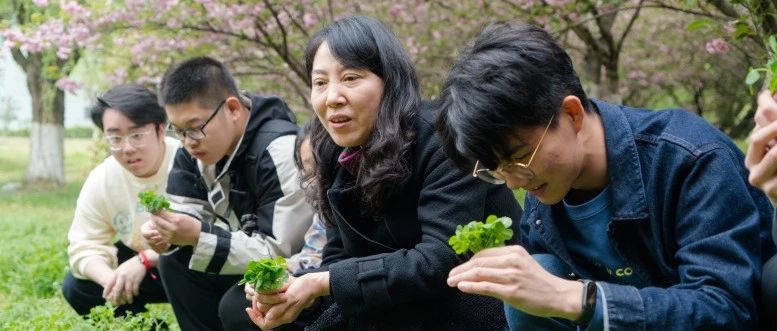 这堂课教大家吃“草”！啊！真香！