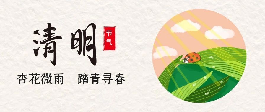 清明 | 杏花微雨  踏青寻春
