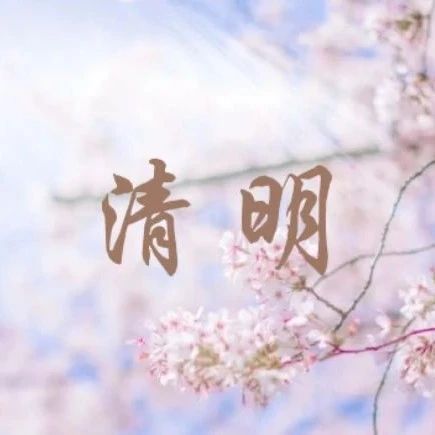 花开清明，不负春光