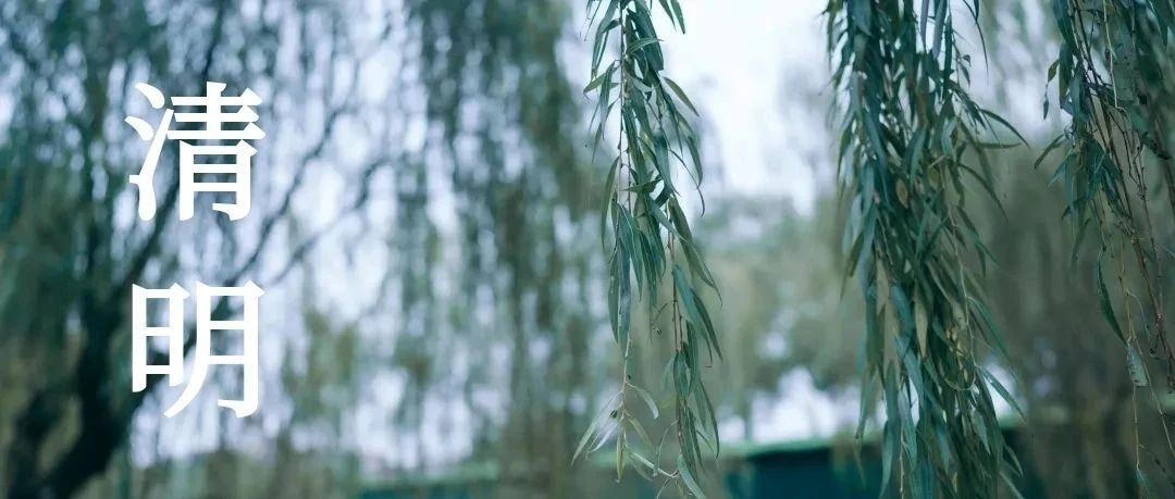 节气说 | 清明-鲜花献英烈，哀思祭忠魂