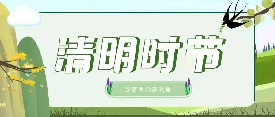 今日清明丨遥寄思念春光里