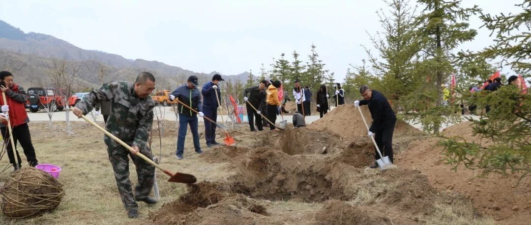 学院行政党总支部分党员到巴彦浩特烈士陵园义务植树