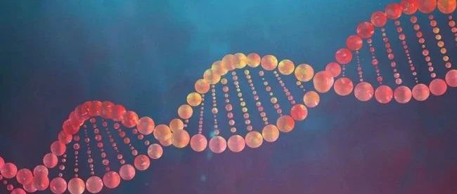 从空气中直接采集DNA！eDNA技术有了新突破