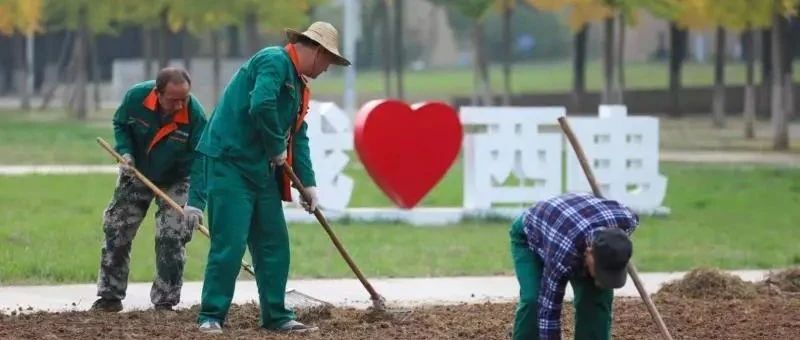 光荣｜西电人获全国五一劳动奖章！