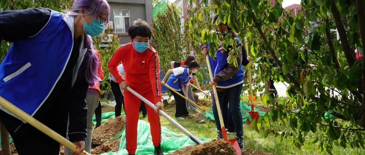 弘扬劳动精神，共建绿色校园！北二外师生共同种下“绚丽海棠”