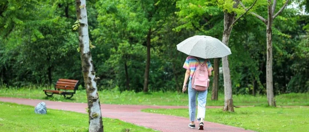 暴雨过后的武商院高清图来了！