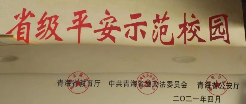 西宁城市职业技术学院荣获首批“省级平安示范校园”称号