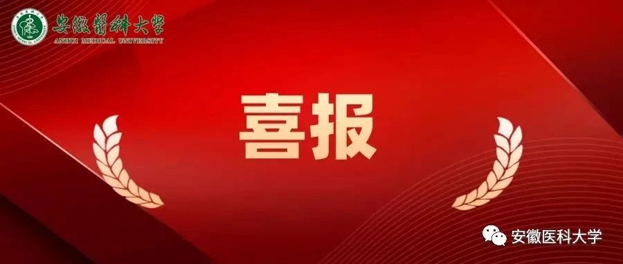 喜报┃安徽医科大学顺利通过省“三全育人”综合改革试点高校中期评估