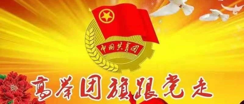 汲取榜样力量，续写青春之歌（一）|2020年度先进团总支风采展示