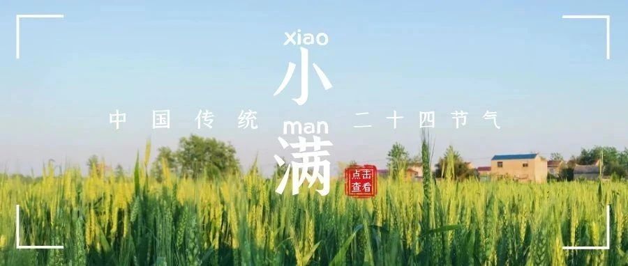 小满~夏天里的小满足