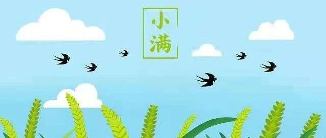 今日小满 | 小满既安  安既是福