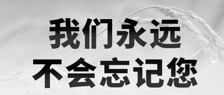 痛悼中国杂交水稻之父——袁隆平院士