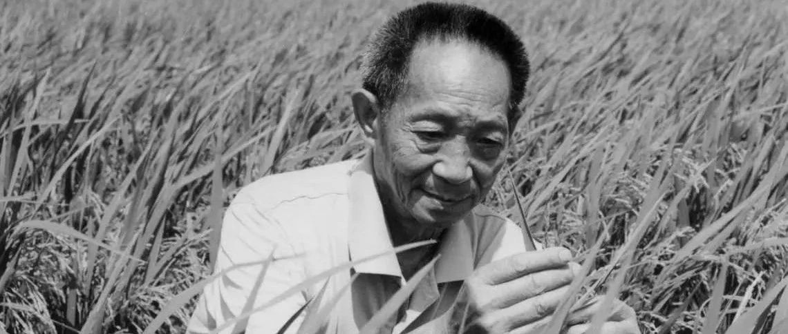 痛别！91岁袁隆平逝世：穿35元衣服，让8亿人吃饱饭，这才是国士无双
