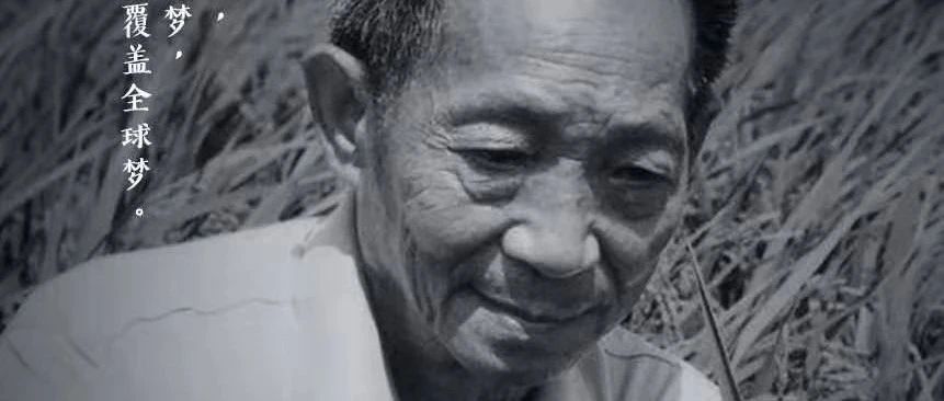 默哀！“杂交水稻之父”袁隆平逝世，享年91岁！