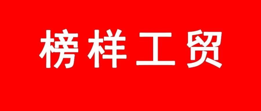 榜样工贸 | 五四专栏（59）--2020-2021年度先进团支部风采