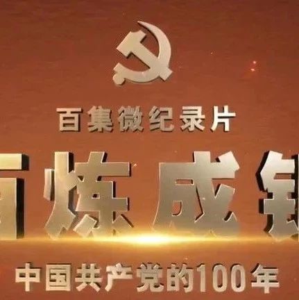 百炼成钢：中国共产党的100年丨第四十五集 大潮涌