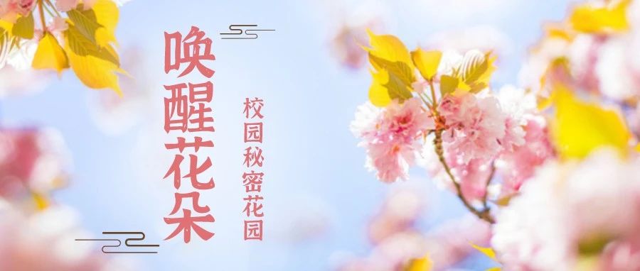 唤醒花朵｜LNNUers的秘密花园