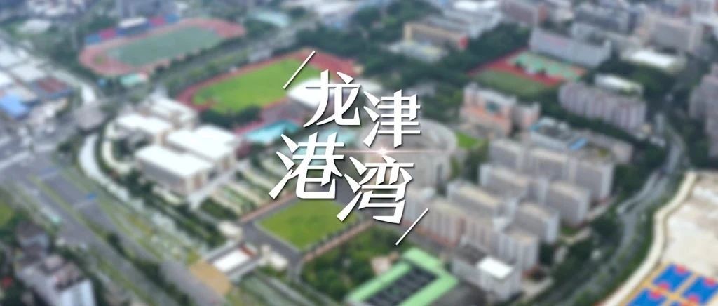 原创歌曲《龙津港湾》MV发布