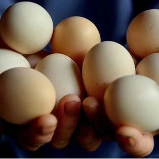 每吨多卖2万！假土鸡蛋，正在流入14亿人的餐桌