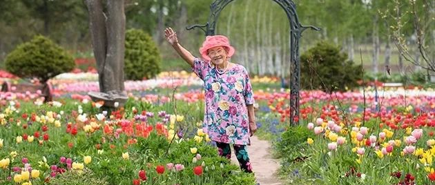 94岁，她在60000㎡花海中永远睡去，手中还握着一把芫荽种子……