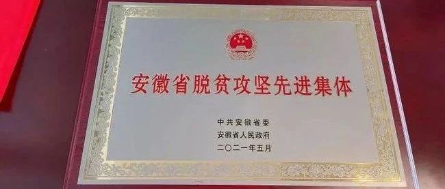 祝贺！两个安徽省脱贫攻坚先进集体