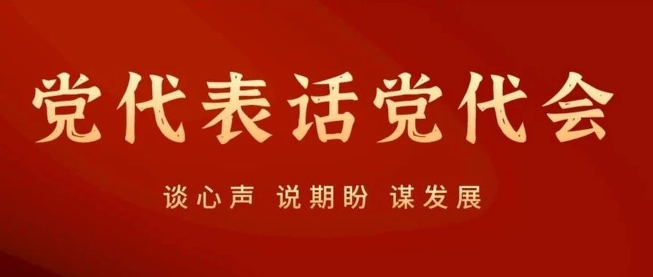 【党代表话党代会】谈心声 说期盼 谋发展（三）