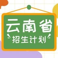 省外招生 || 2021年夏季高考云南省招生计划