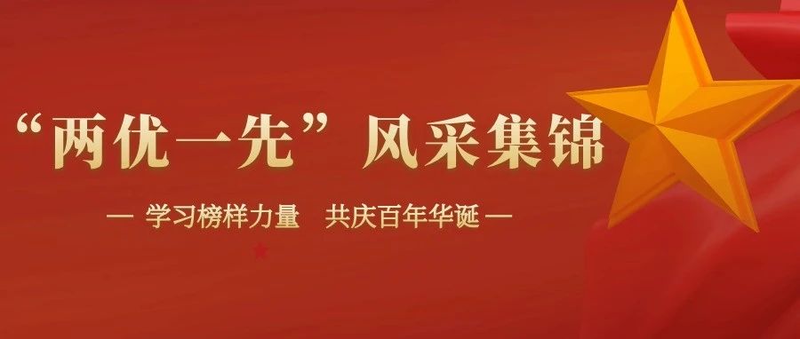 学习榜样力量 共庆百年华诞 | “两优一先”风采集锦：优秀共产党员