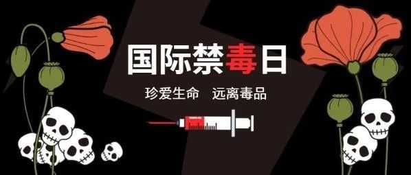 自觉抵制毒品 让青春充满阳光——至佳学校开展禁毒教育活动