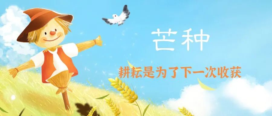 芒种｜耕种梦想！