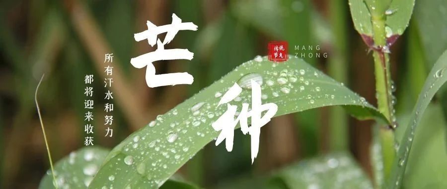 FM1938 | 芒种：黄梅时节家家雨，青草池塘处处蛙