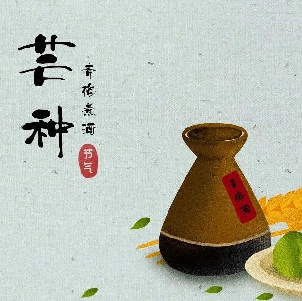 芒而不茫 炙热理想| 二十四节气•芒种