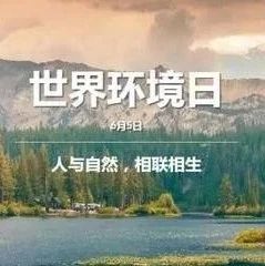 世界环境日丨人与自然和谐共生 数据见证中国力量