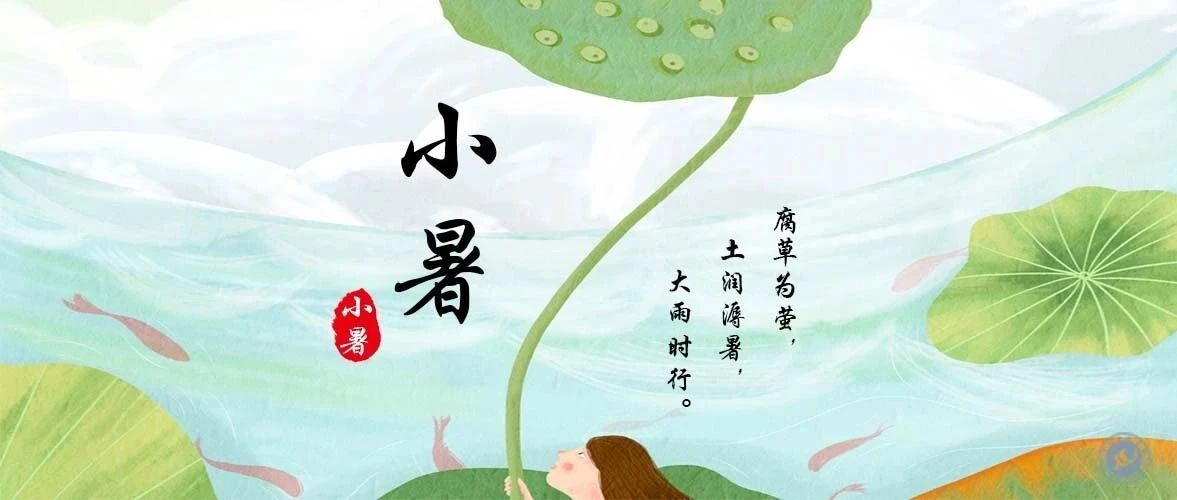 小暑 | 倏忽温风至，因循小暑来