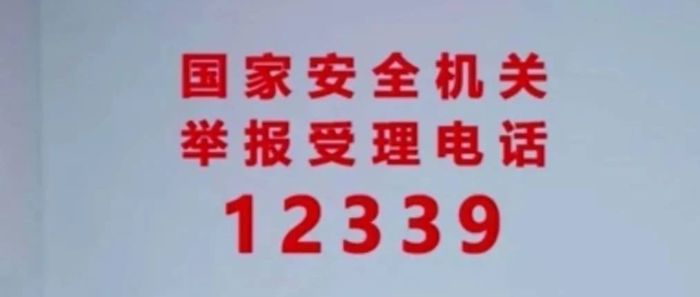 12339，记住这个号码！