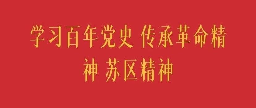 学习百年党史 传承革命精神 苏区精神