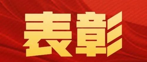 弘扬先进 树立标杆｜这些“两优一先”受到表彰！名单公布！