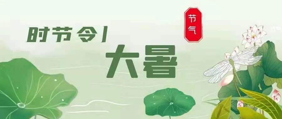 时节令 | 大暑，守望最绚烂的朝阳