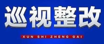 省委外事工作委员会办公室等6个省直单位、高校党组织公开七届省委第八轮巡视反馈意见整改进展情况