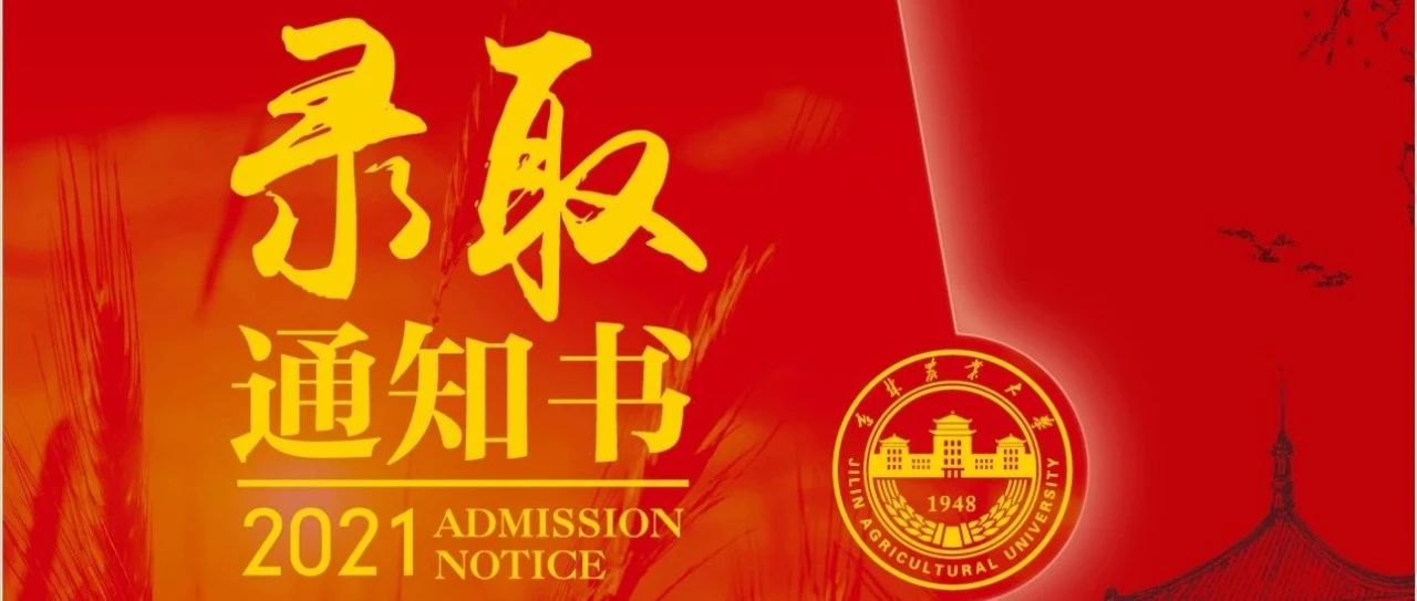 录取进展 | 第一批录取通知书已发出！